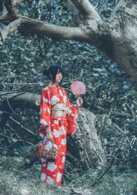 高柳家的女人_BD国语电视剧在线观看